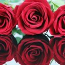 선비골농장 이미지