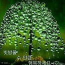 버스킹 ㅡ이무진 .미연.폴킴.희재.볼빨간사춘기. 이미지