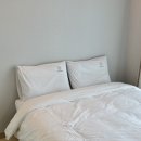 W레지던스호텔 | 해운대 근처 가성비 숙소 찾다가 발견한 부산 W 레지던스 호텔 센텀시티 후기