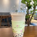 [송파/문정]숲속 아지랑이 MIRAGE FOREST_찻잎을 직접 우려내는 서울 밀크티 맛집