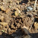 새순2농장 이미지