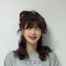 머슬리핏 네이버블로그
