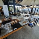 올라알파카 카페 이미지