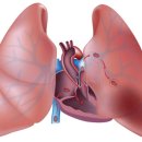 금천동물병원 이미지