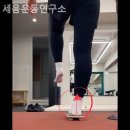 세움운동연구소 네이버블로그
