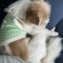 신월동051 이미지