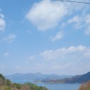 게으른악어 카페 이미지