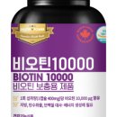 뉴트리파워