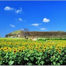 연천 호로고루 이미지