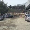 하늘초롬 이미지