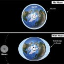 베시두즈 이미지