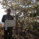 미산면사무소 이미지