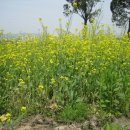 송우농장 이미지