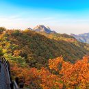 (유)한국렌트카 이미지