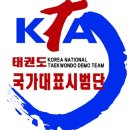 국가대표 경희대 빛 태권도 이미지
