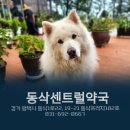 지제약국 이미지