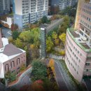 금동초등학교 이미지