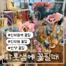 인덕원 꽃집 하롯샘에 꽃필때, 꽃다발 선물 만족 후기