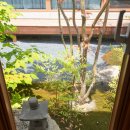 스테이 니와 이미지