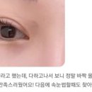 압구정-279 이미지