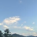 가평 대형카페 l 북한강 리버뷰 핫플 골든트리 후기 내돈내산