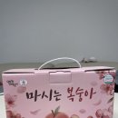 만주농장 | 여름만 기다렸던 복숭아, 이제 사계절 내내 마신다. 승주농장 엉뚱한복숭아 솔직 후기