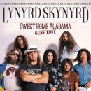 Lynyrd Skynyrd - Sweet Home Alabama 이미지