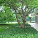 부귀초등학교 이미지