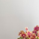 마음을 담다 이미지