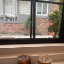 파스텔약국 이미지