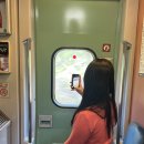 아이원모텔 | [대전] 누리손만두 | 성심당(본점, 부띠끄) | 장인 더 | 풍바오 | 쪽방집