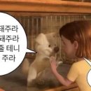그래요 - 연수구 컨벤시아대로 100 | 그래요