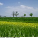 인화농장 이미지