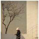 엑스포과학공원 이미지