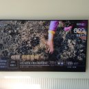 여수tv 이미지