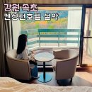 설악뜰 | 설악산 숙소 켄싱턴호텔설악 조식 속초여행 1박2일 코스 추천