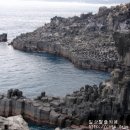 주상절리대 이미지