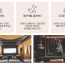 센트럴파크 10 이미지