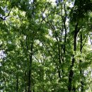 이인현선생묘 이미지