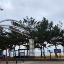 성훈이네 횟집 이미지