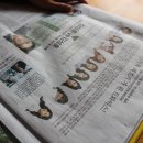 가나 전집 이미지