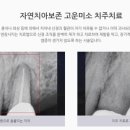 연세꼼꼼한치과의원 이미지