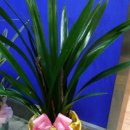 중앙유통공인중개사사무소 이미지