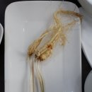 대왕산삼백숙농원 이미지