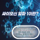 알파정보 네이버블로그