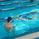 하비엘럭스 이미지