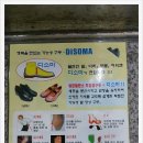 디소마기능성구두