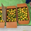 단감약국 이미지