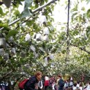 김정숙농장 이미지