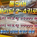 신안젓갈 Daum카페
